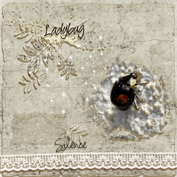 Black LadyBug