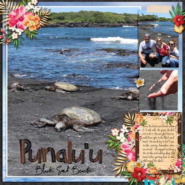 Black Sand Beach