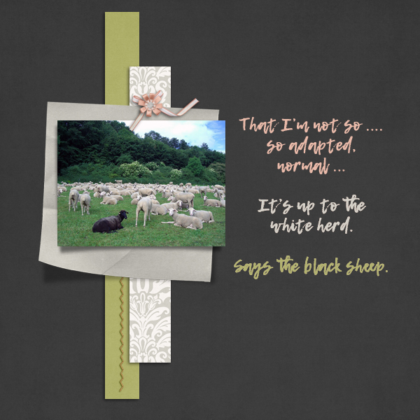 black sheep