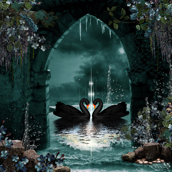 Black Swan