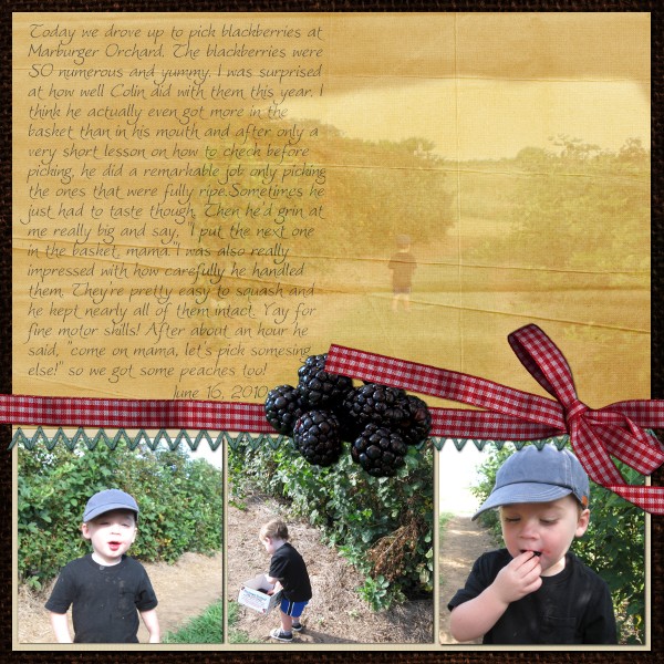 Blackberries