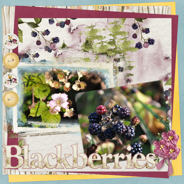Blackberries