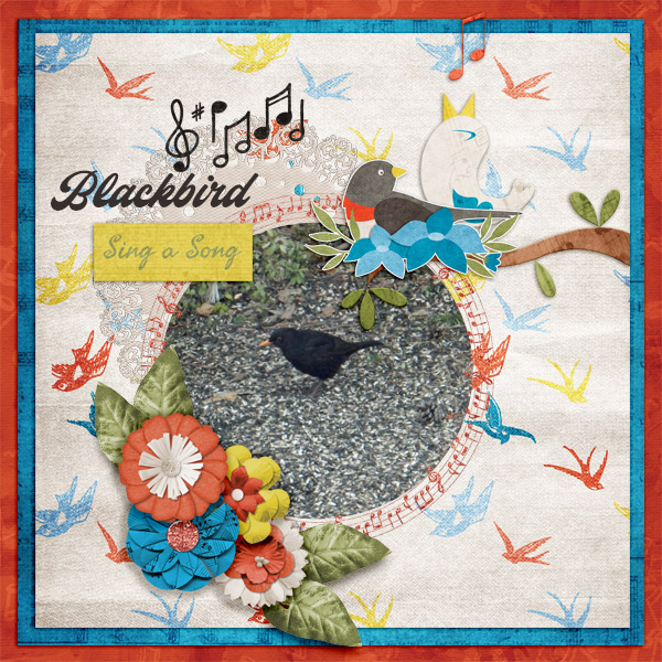 Blackbird