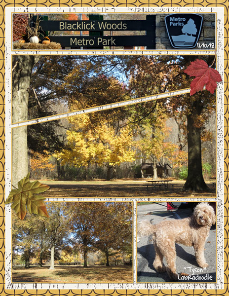Blacklick Woods