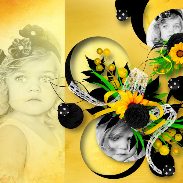 black'n yellow touch