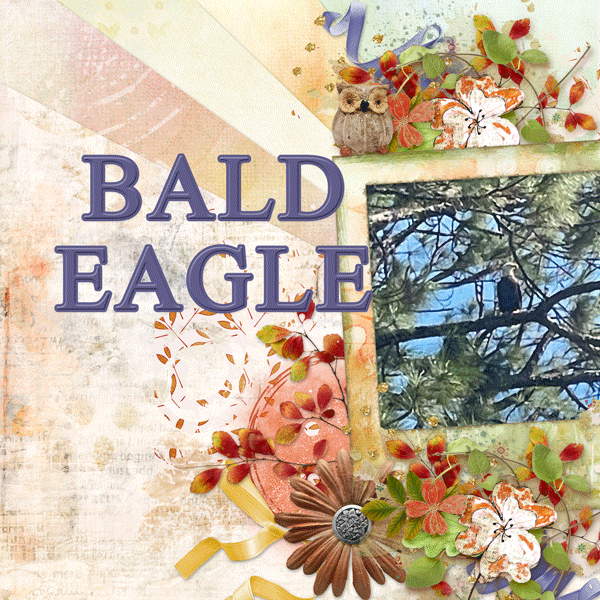 Blad Eagle