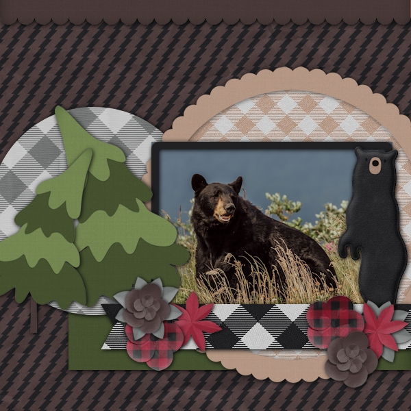 Blak Bear