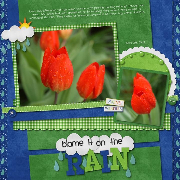 Blame it on the Rain