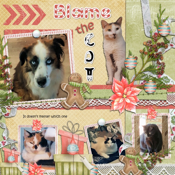 Blame the Cat