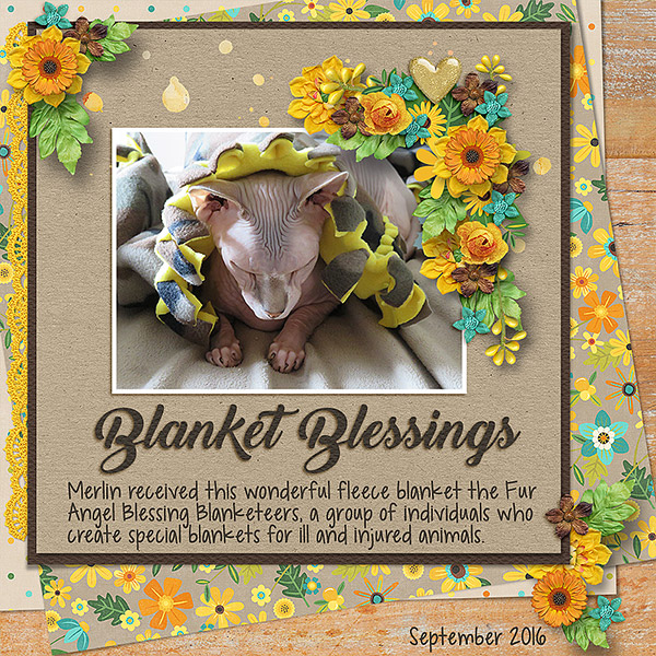 Blanket Blessings
