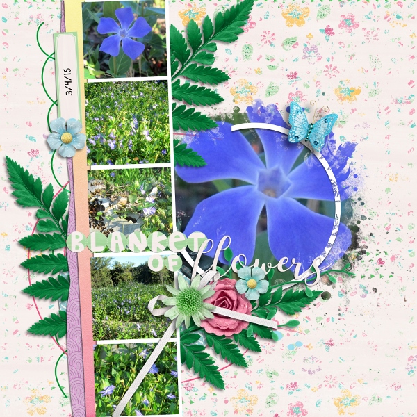 Blanket of Flowers