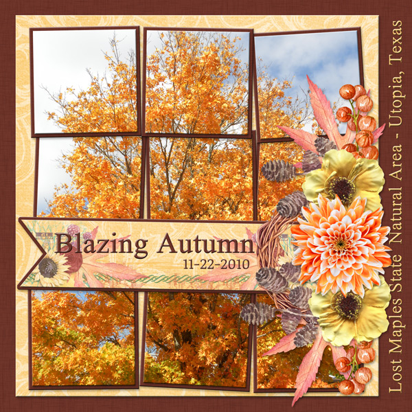 Blazing Autumn