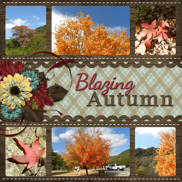 Blazing Autumn