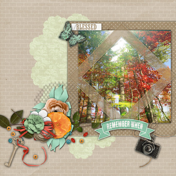Blessed Forest