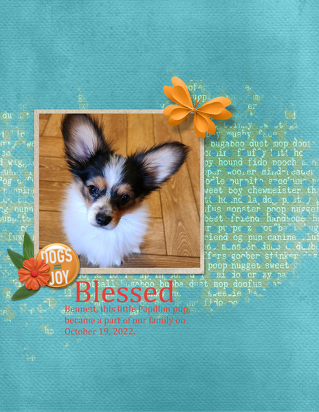 Blessed