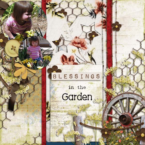 Blessings in the Garden