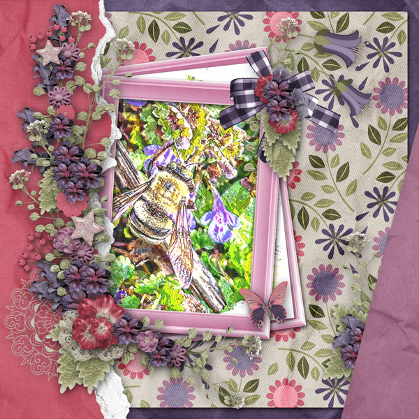 blissful blooms
