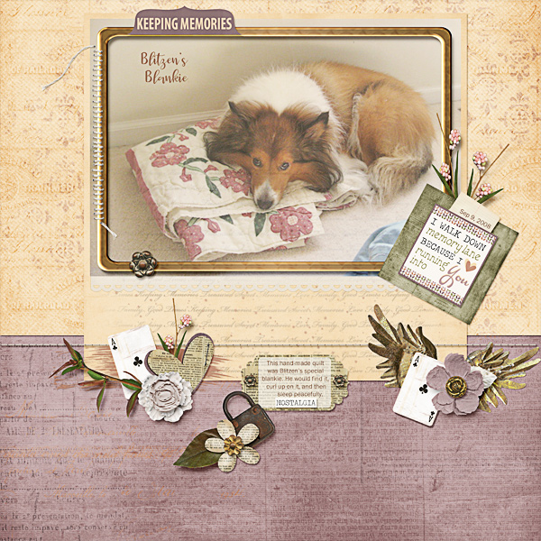 Blitzens Blankie