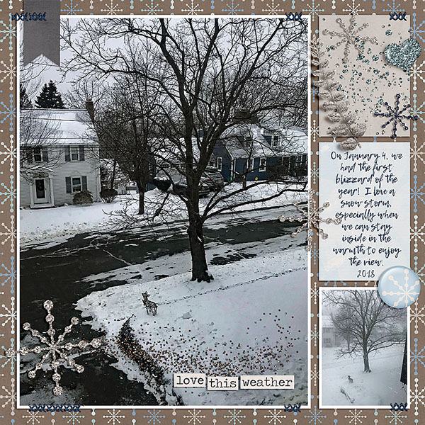 Blizzard 2018