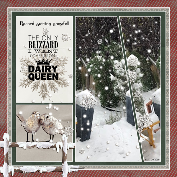 BLIZZARD