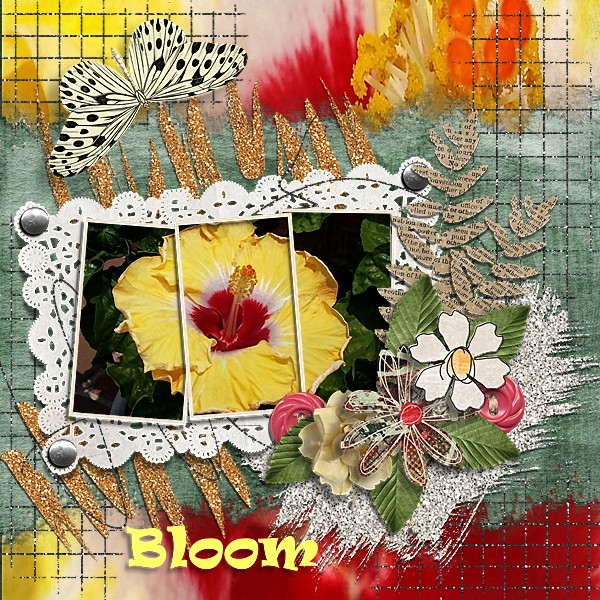 Bloom 2014
