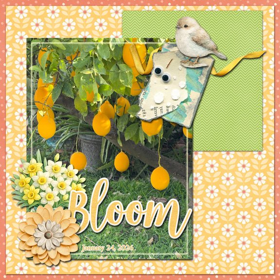 Bloom 8x8 72.jpg