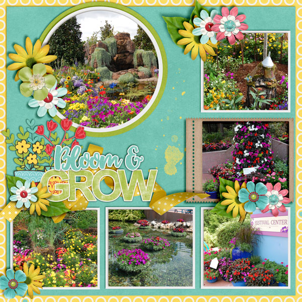 Bloom-_-Grow