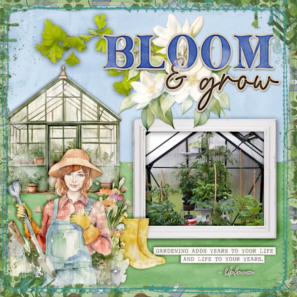 Bloom-and-grow.jpg