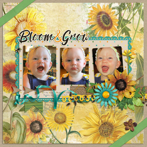 Bloom and Grow