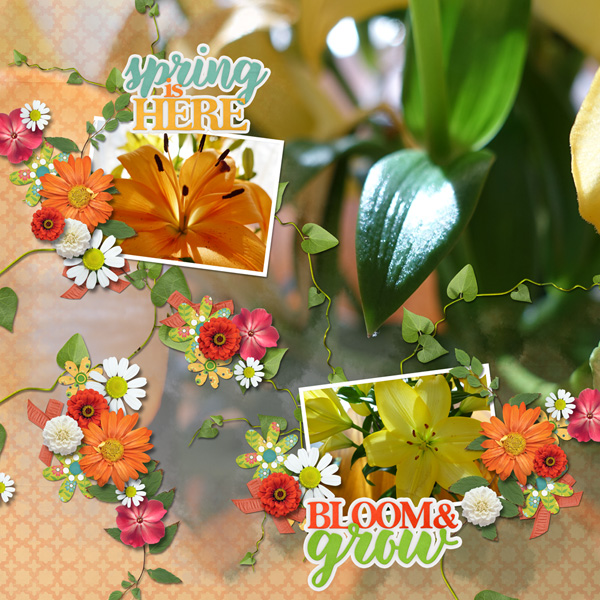 Bloom and Grow
