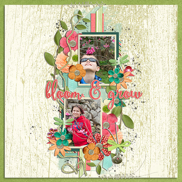 bloom and grow