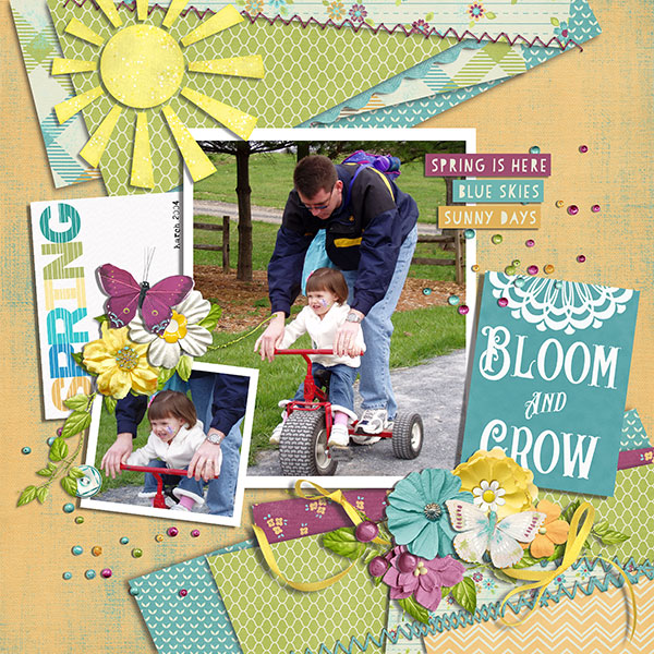 bloom and grow