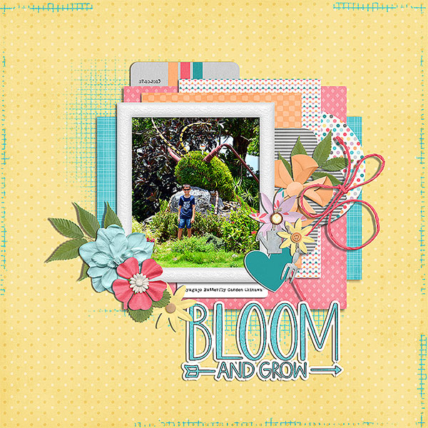 bloom and grow