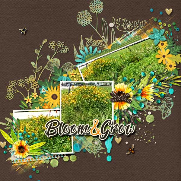 Bloom and Grow