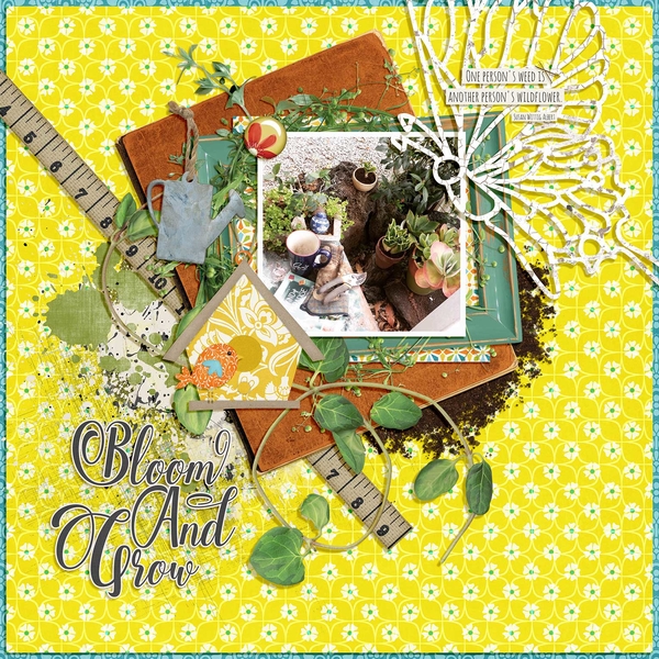 Bloom and Grow