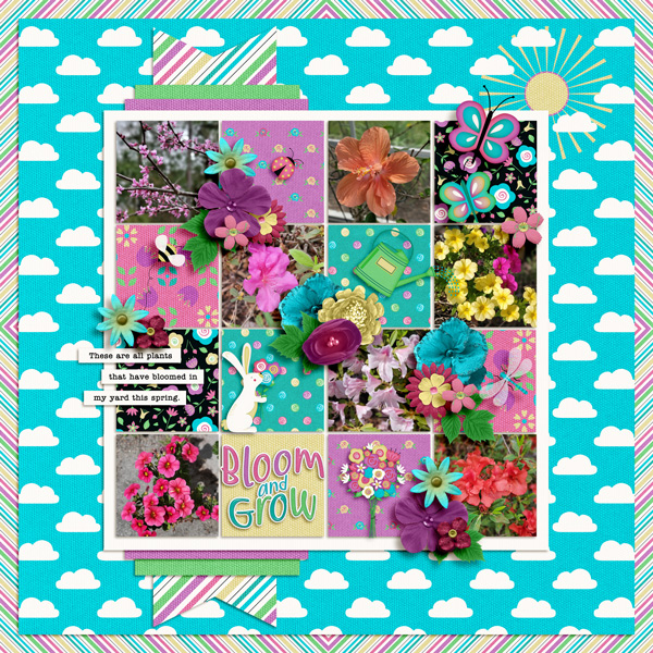 Bloom and Grow