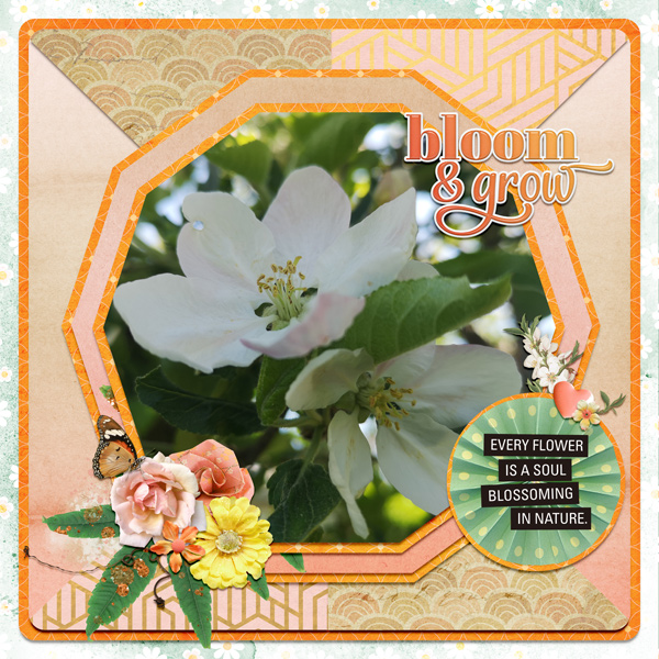 bloom and grow