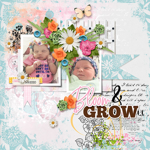 Bloom And Grow
