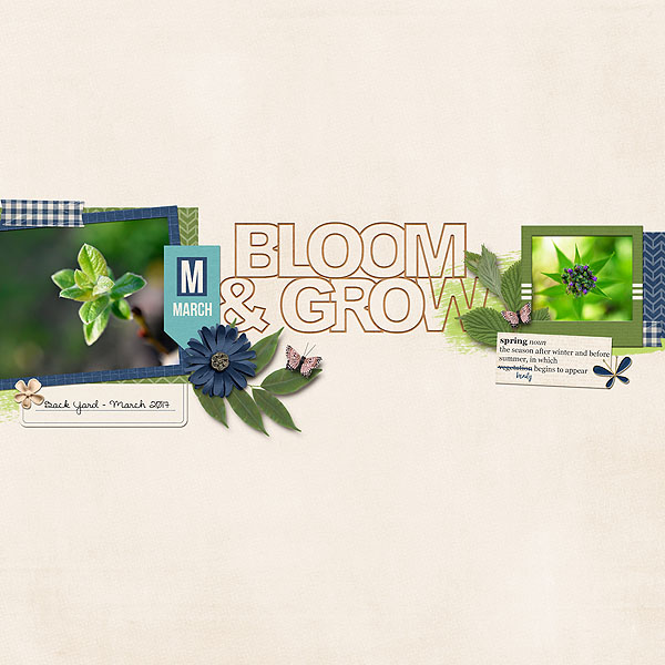Bloom and Grow