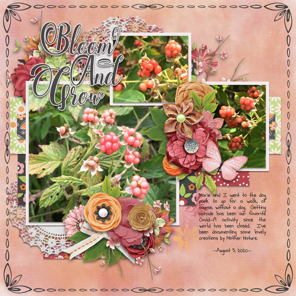 Bloom and Grow