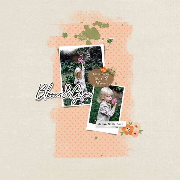 bloom and grow