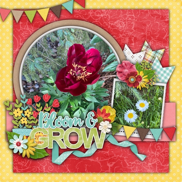 Bloom and Grow