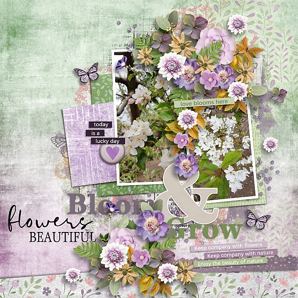 Bloom and grow