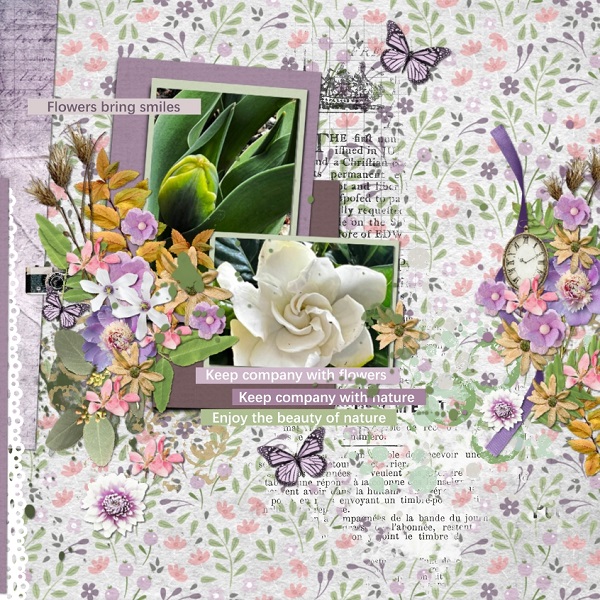 Bloom and Grow