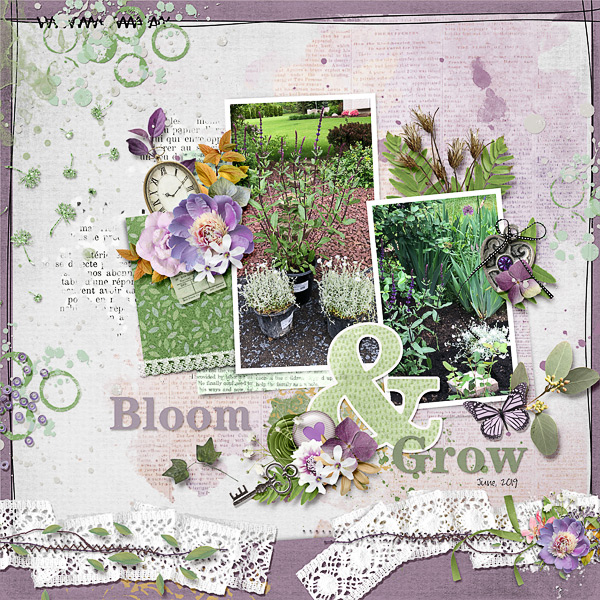 Bloom and Grow