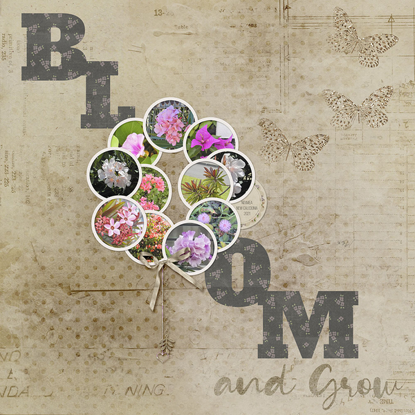 Bloom and Grow