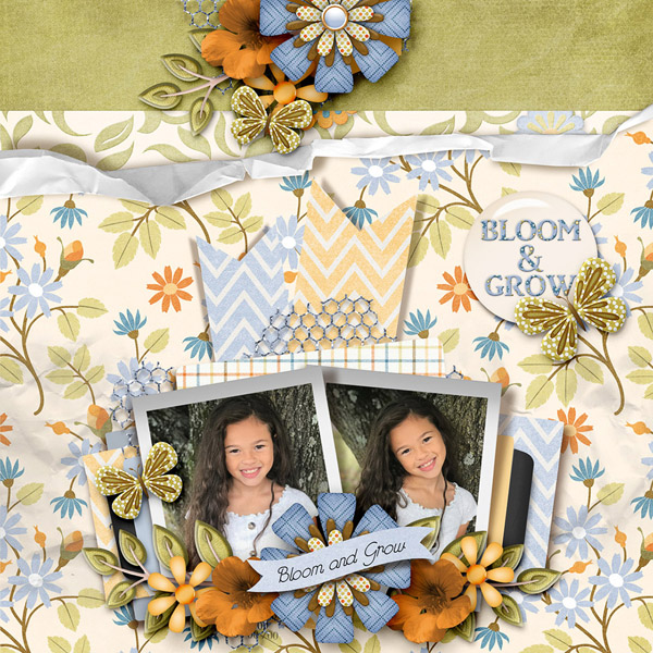 Bloom and Grow