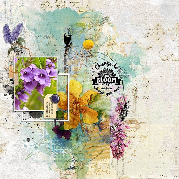 BLOOM AND GROW