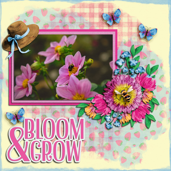 Bloom and Grow
