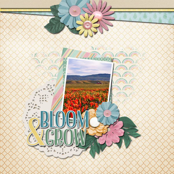 bloom and grow